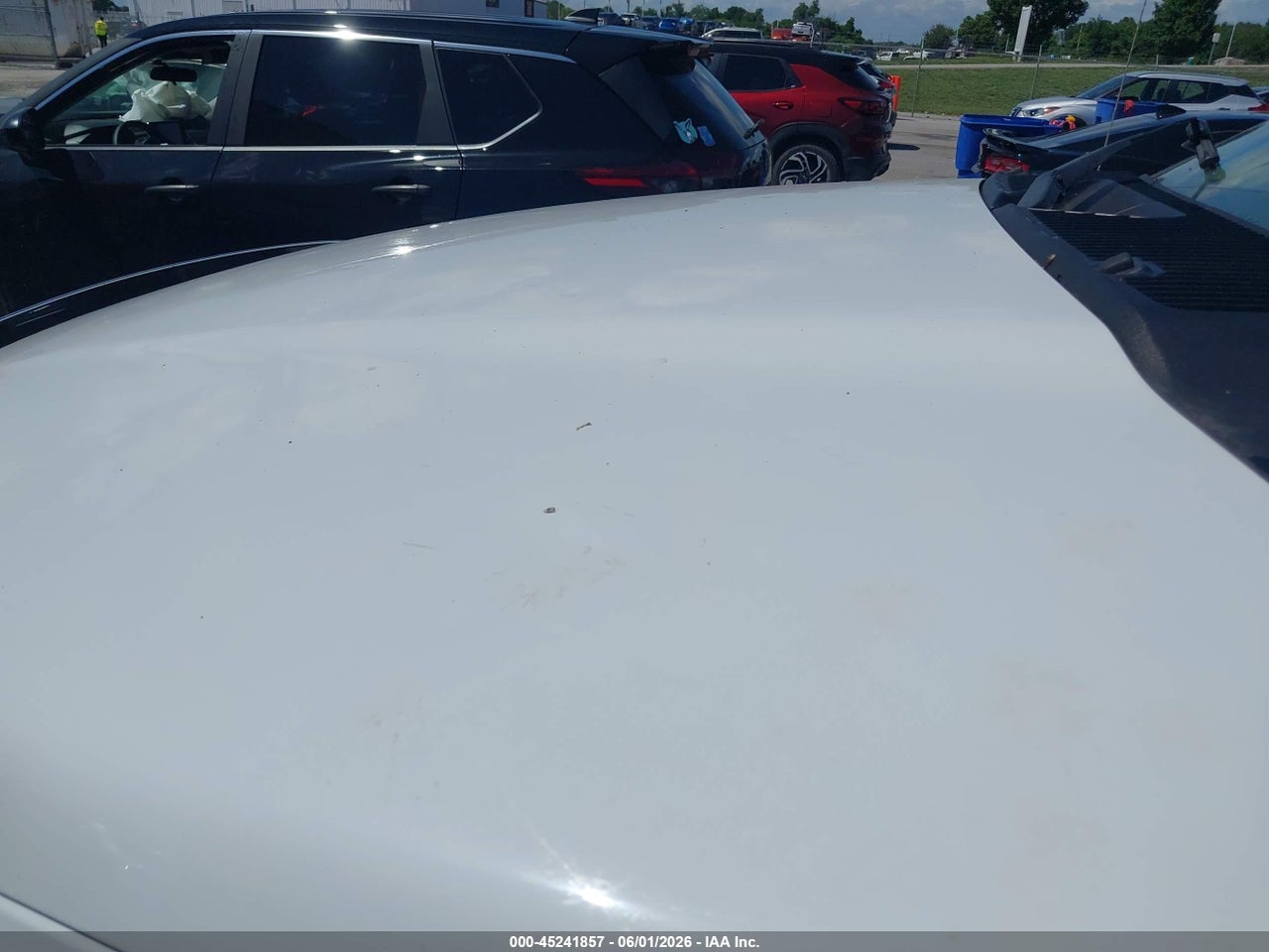 Image 6
