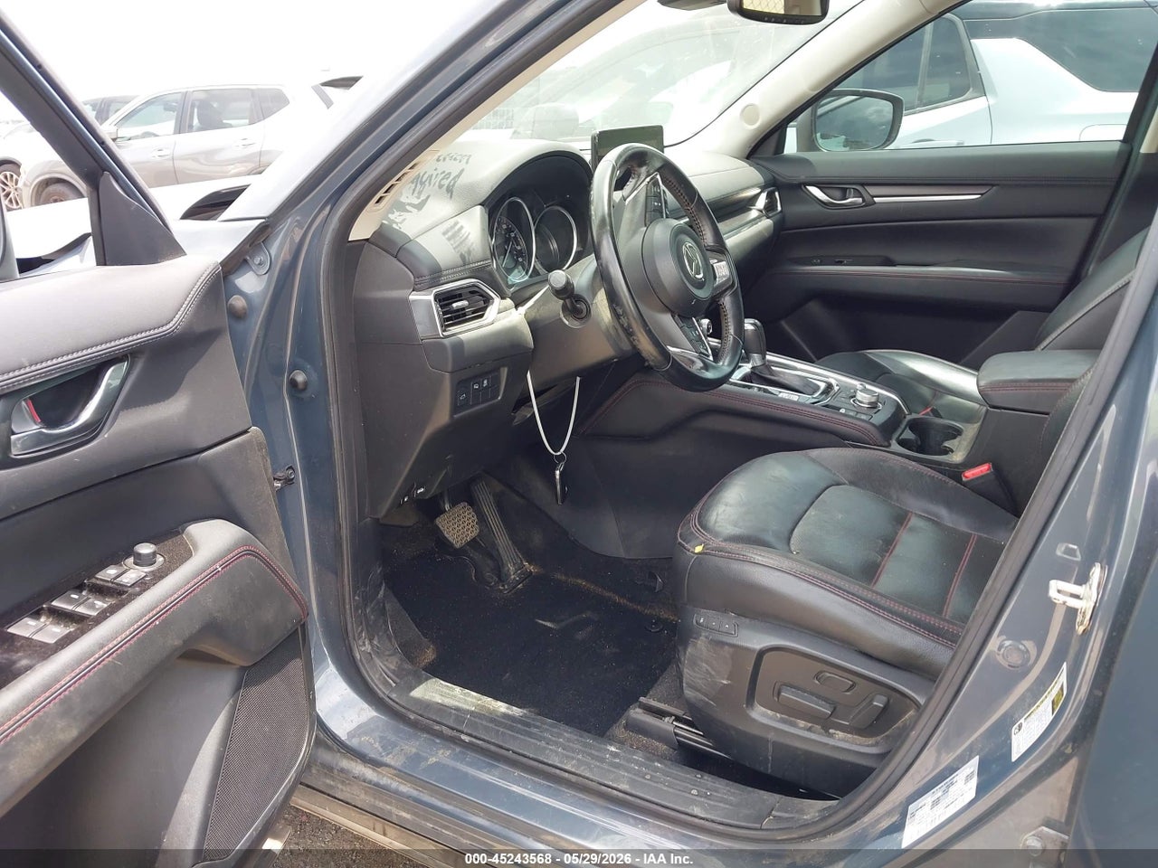 Image 5