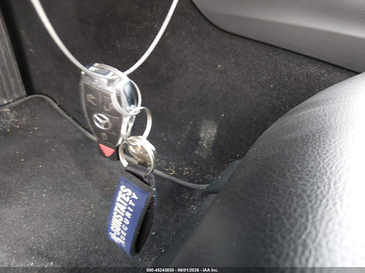 Image 11