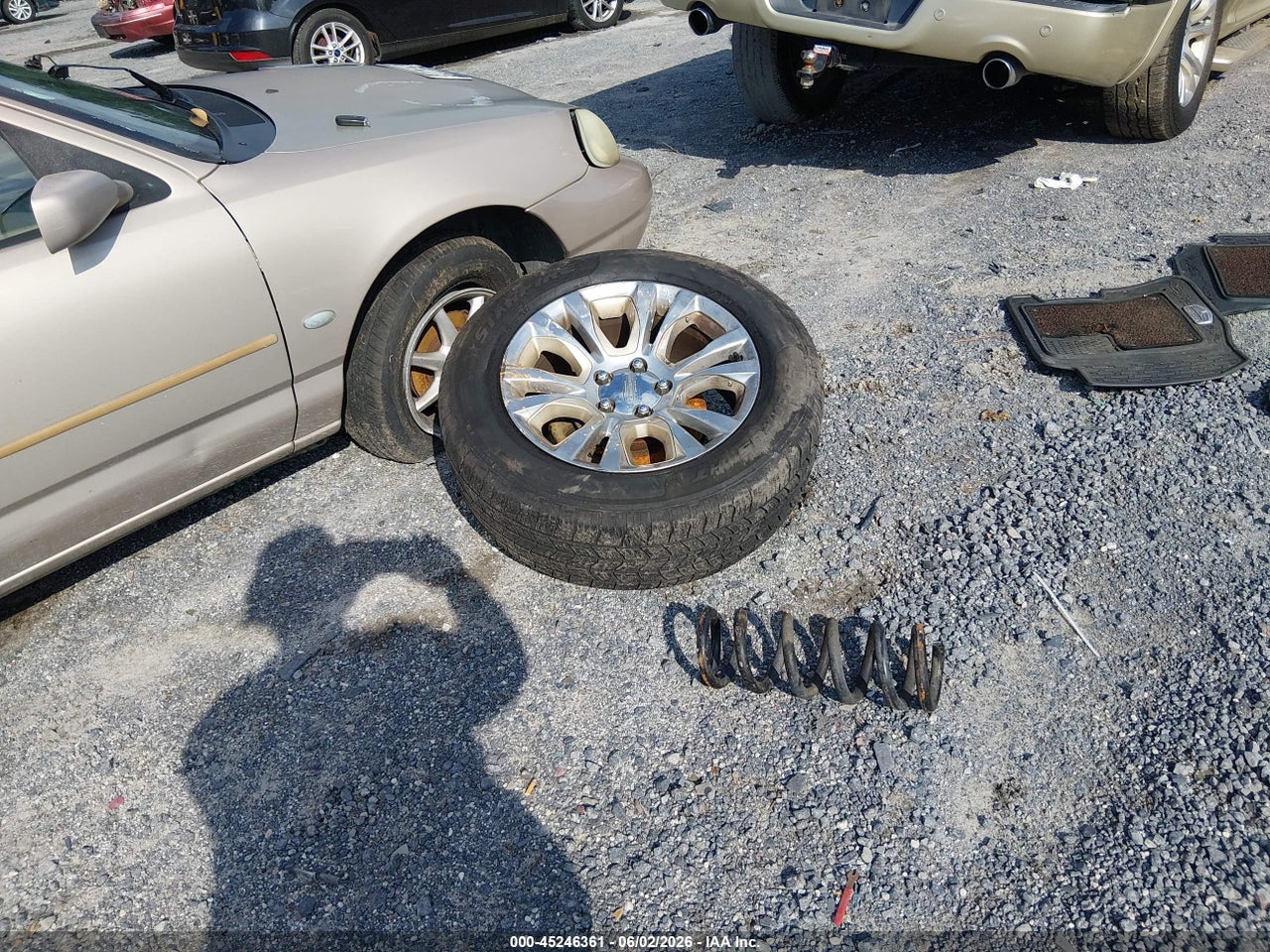 Image 12
