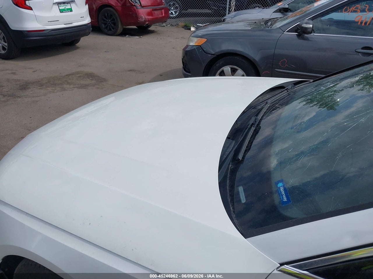 Image 6