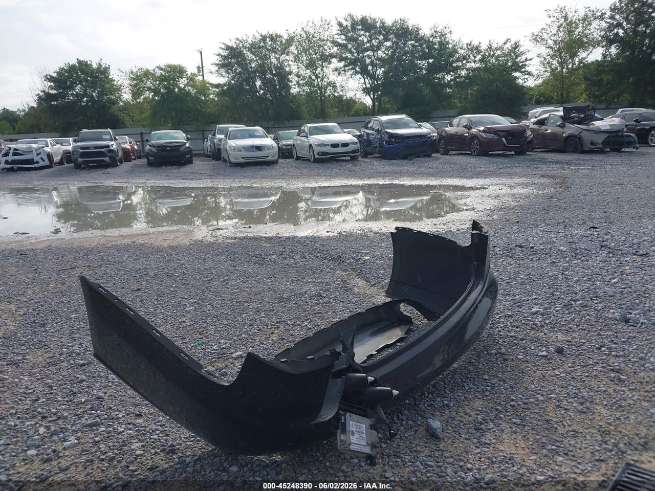 Image 12