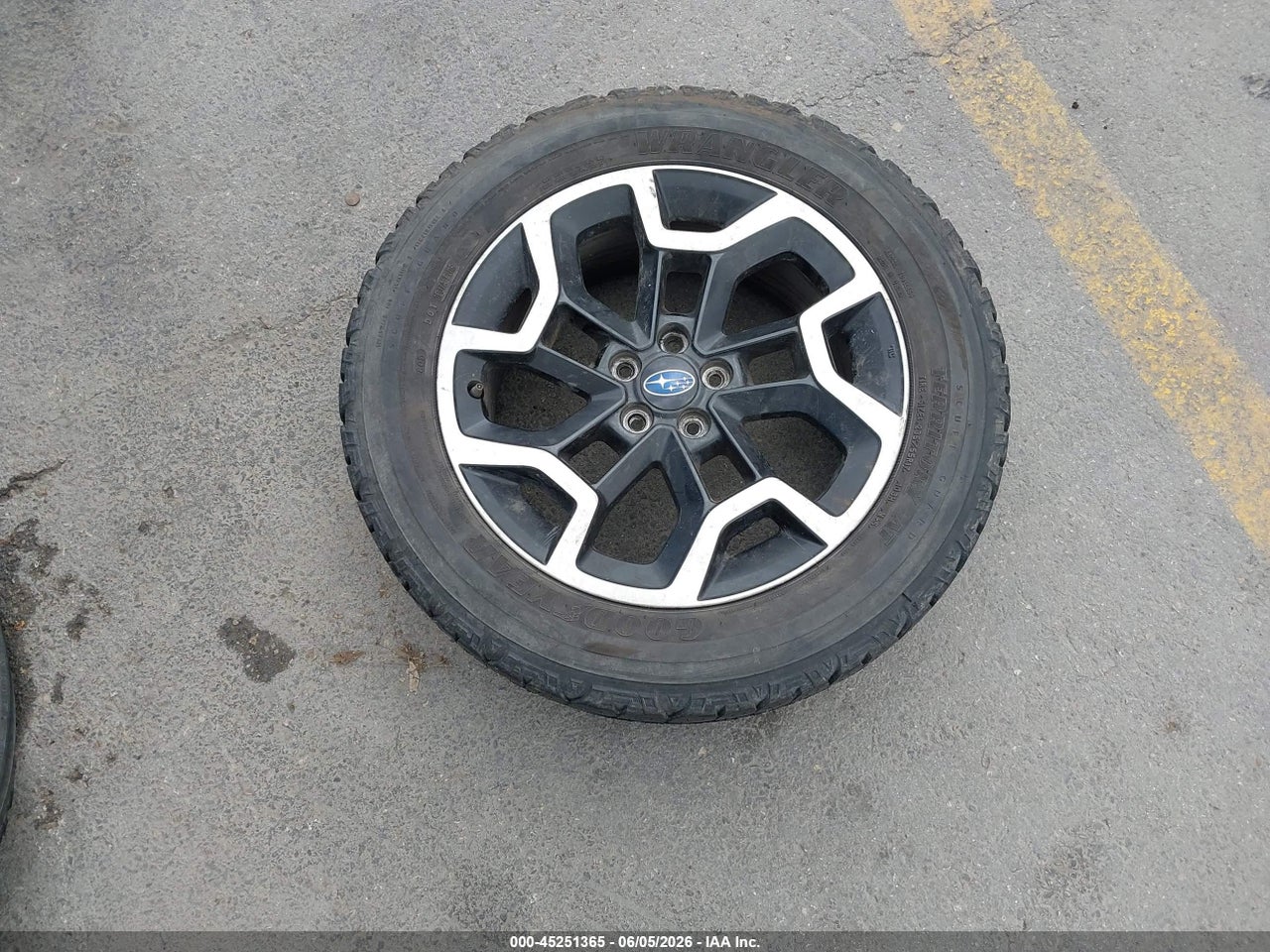 Image 12