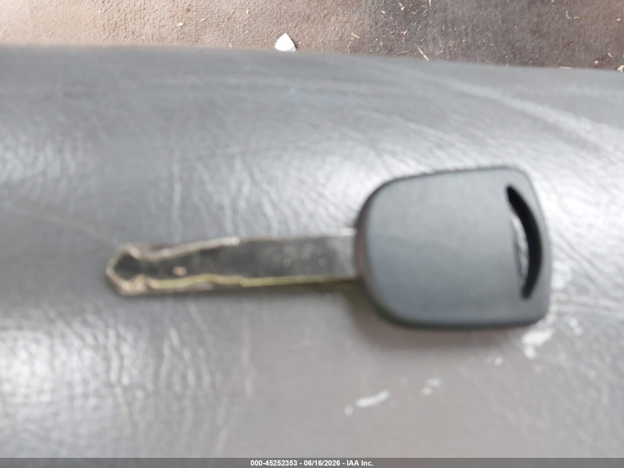 Image 11