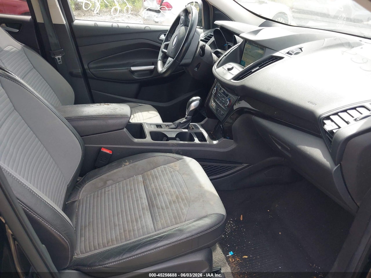 Image 5