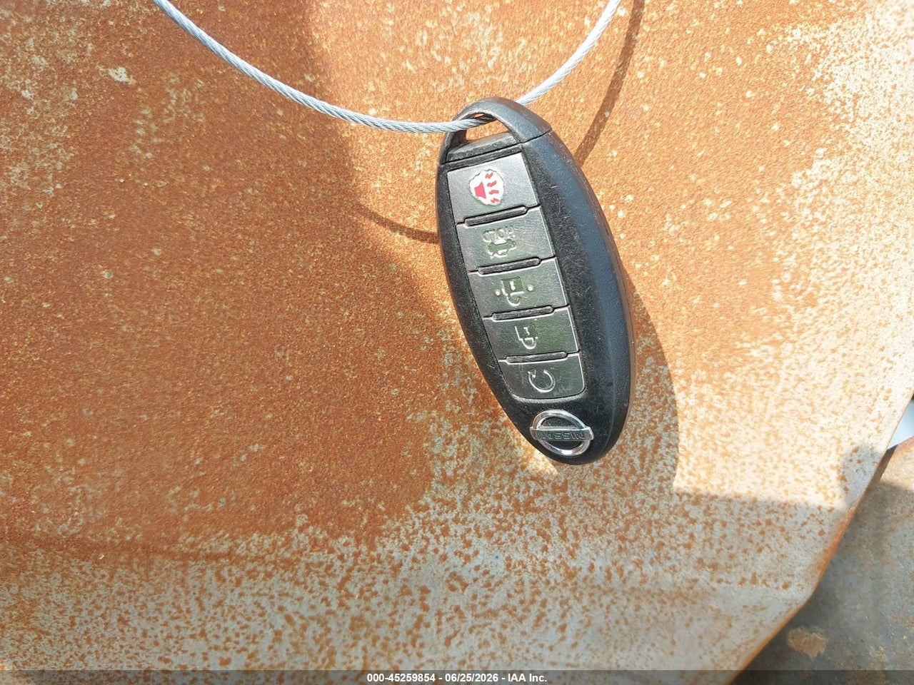 Image 11