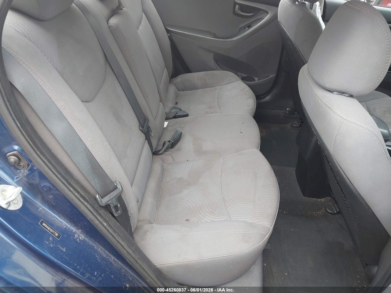 Image 8