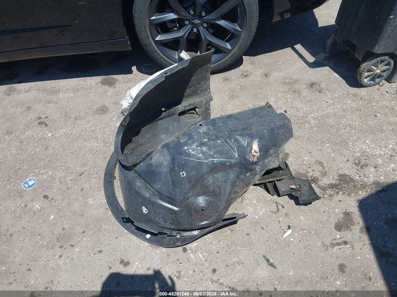 Image 12
