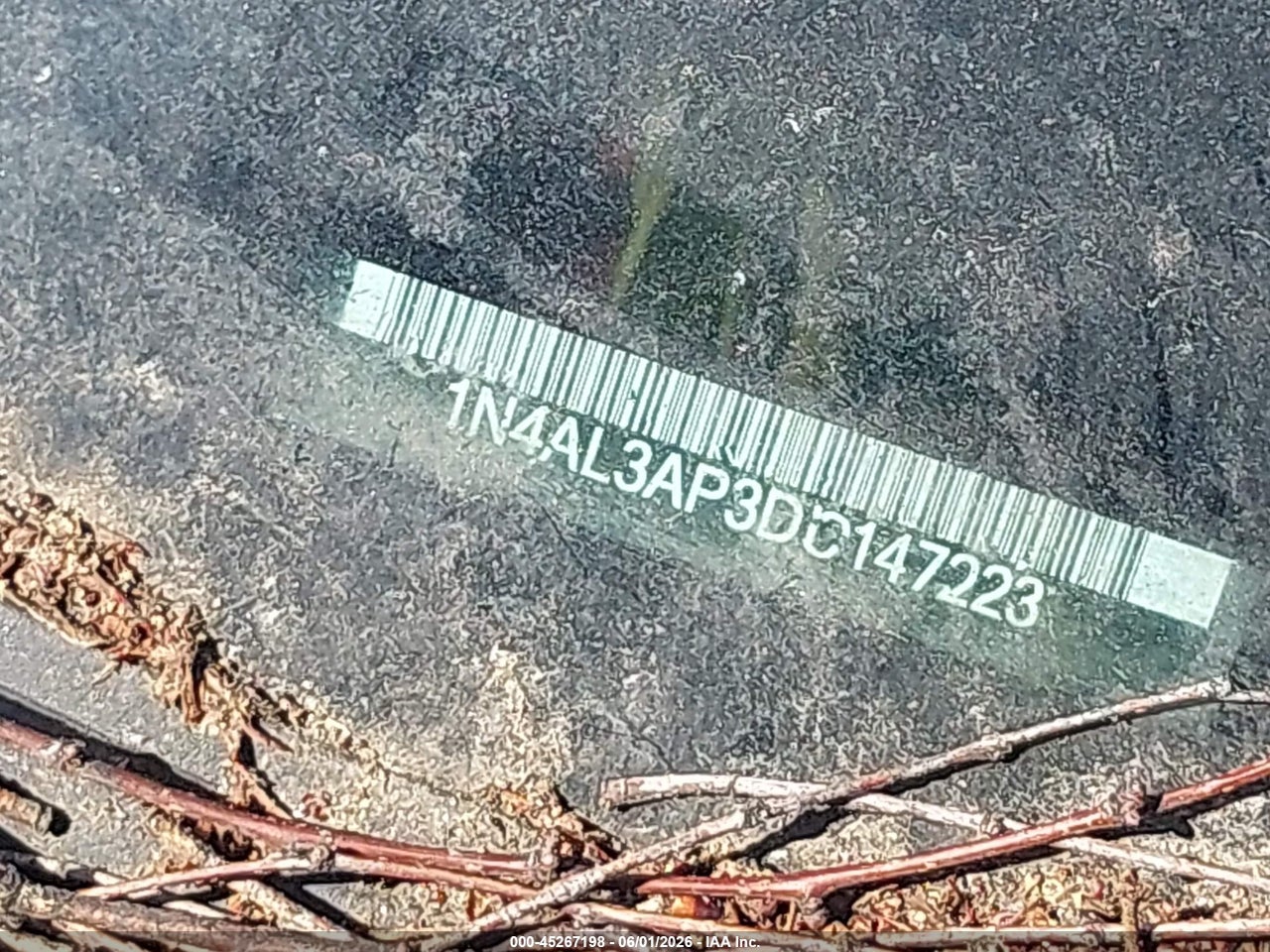 Image 11