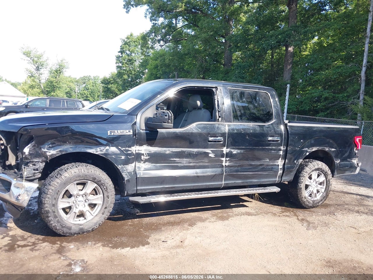 Image 13