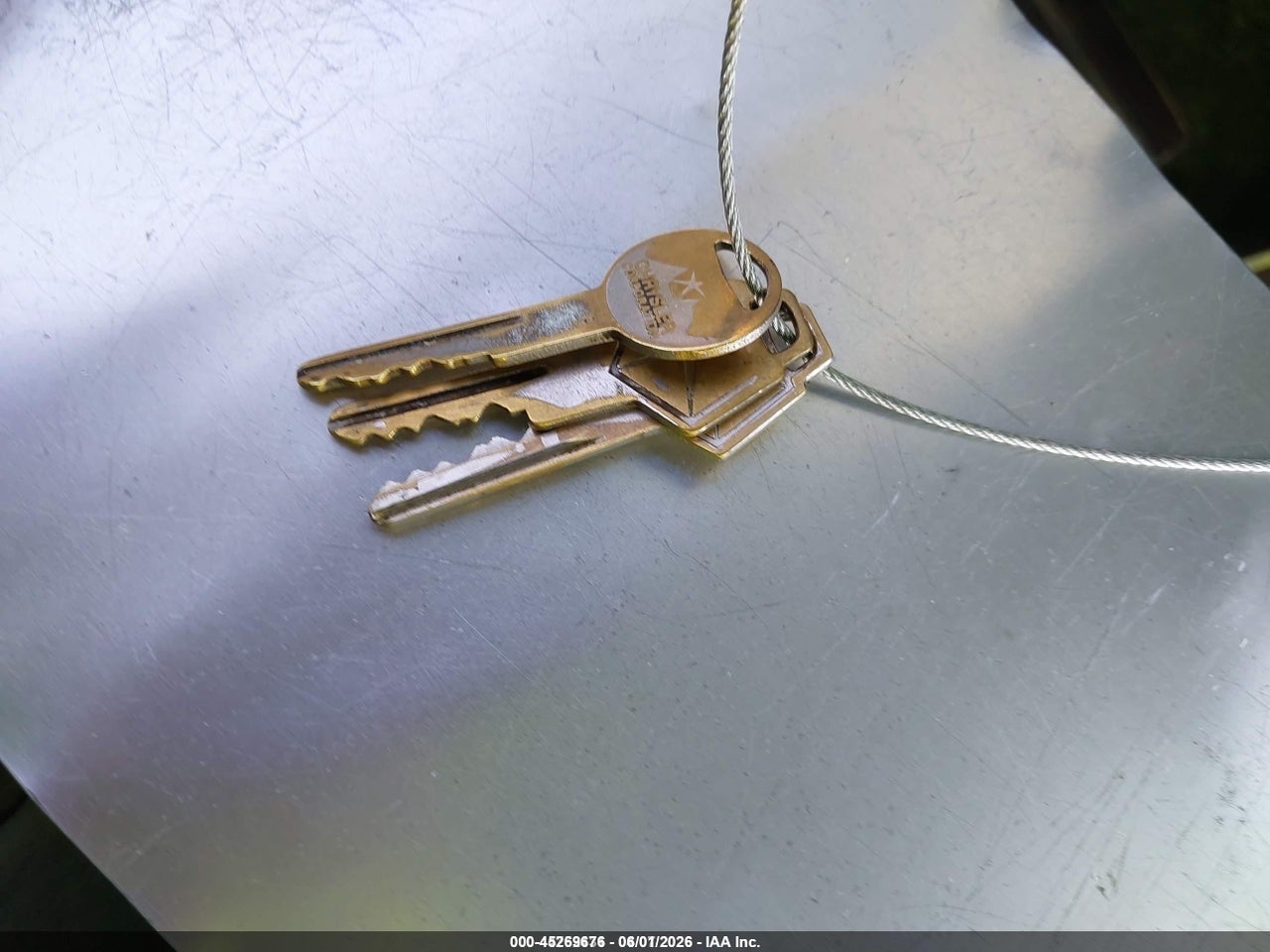 Image 11