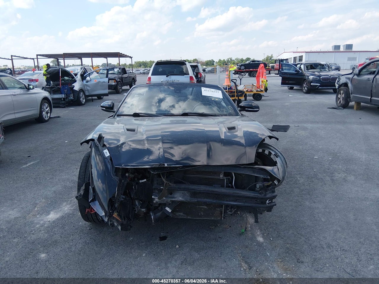 Image 13