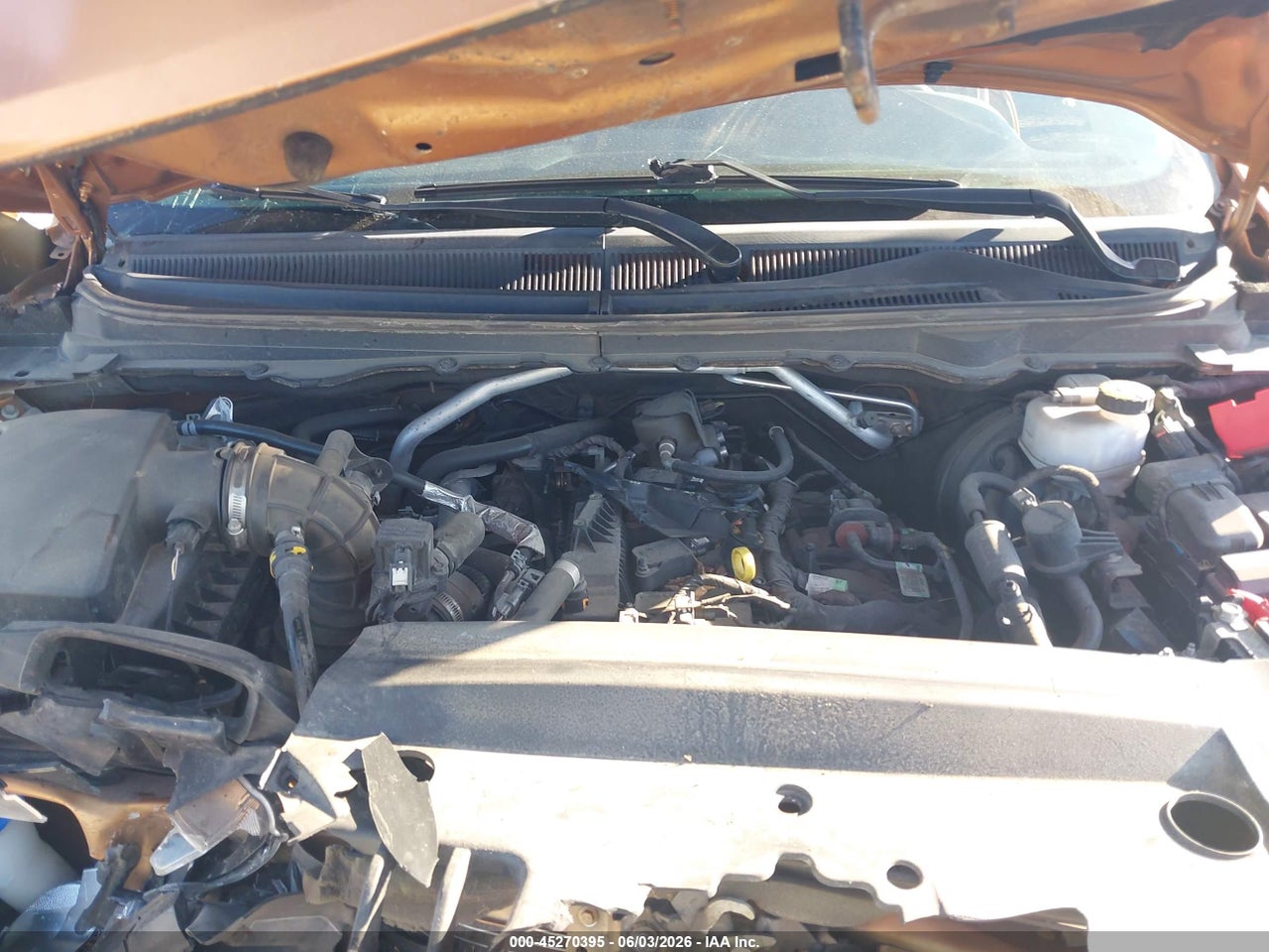 Image 10