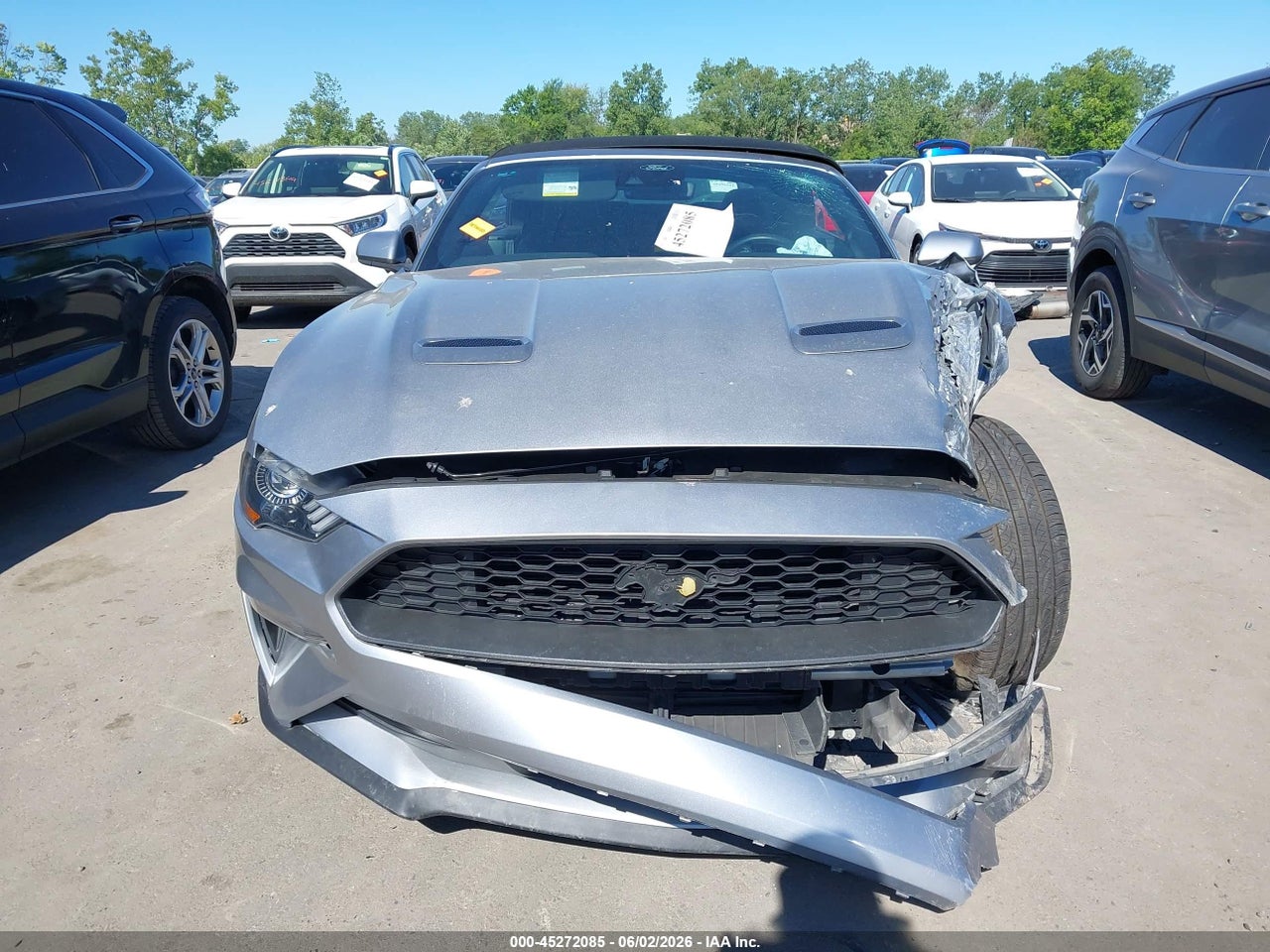 Image 13