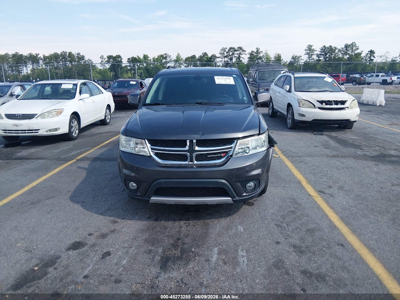 Image 12