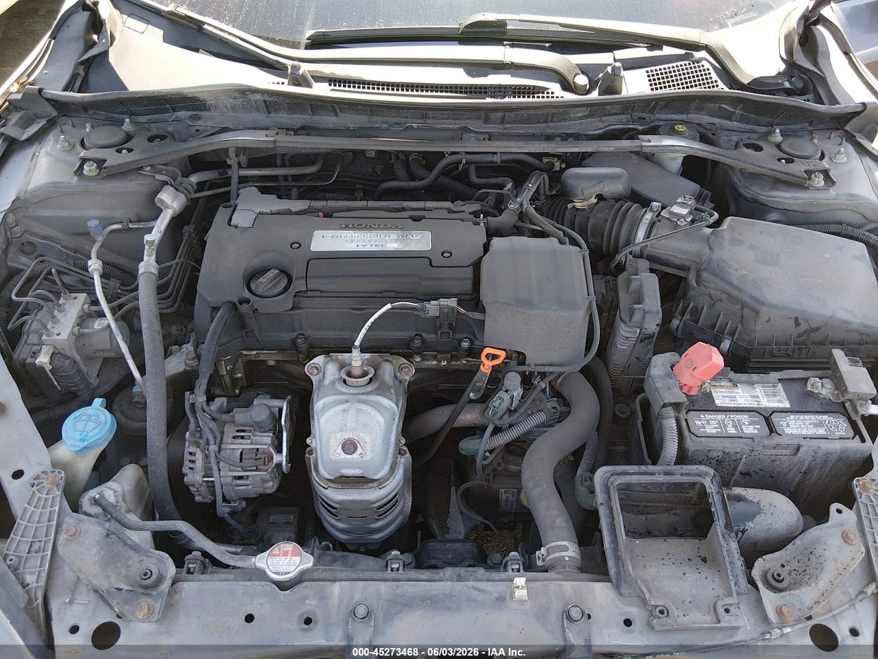Image 10