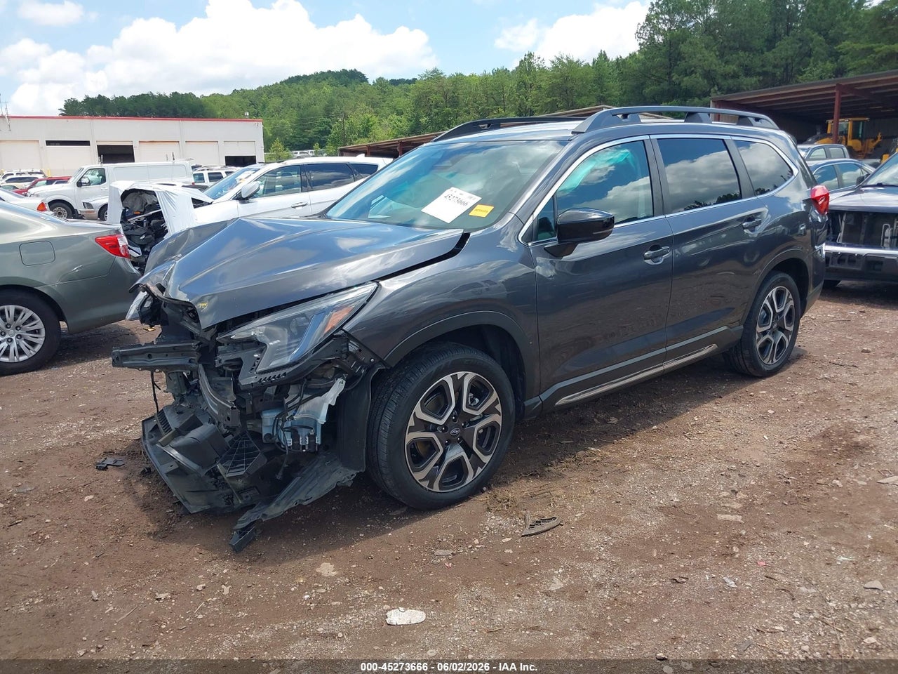 Image 2