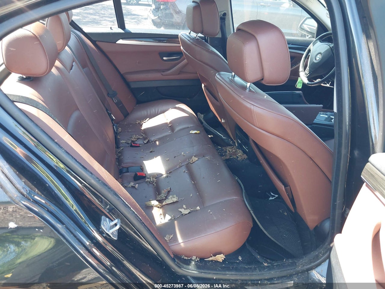 Image 8