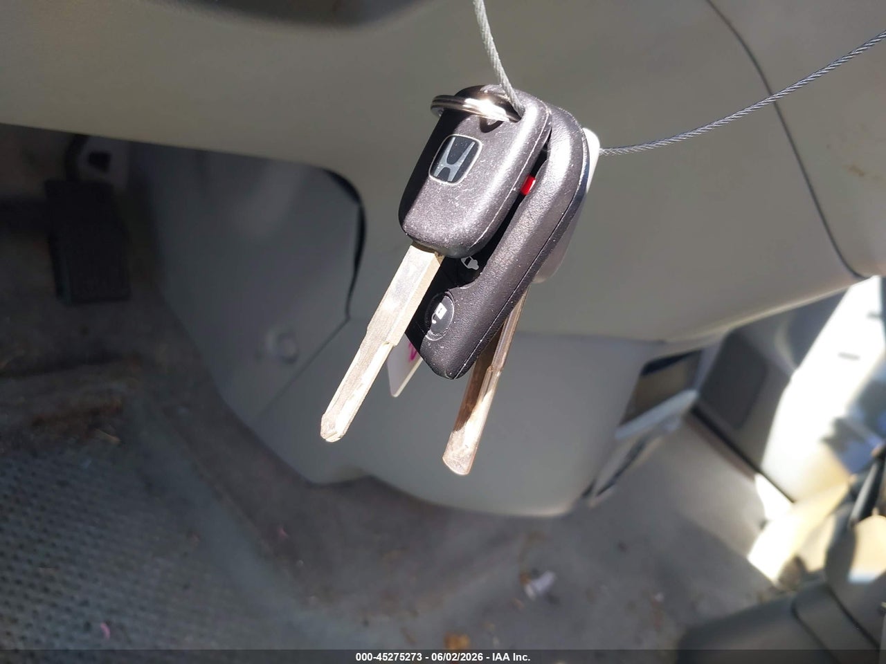 Image 11