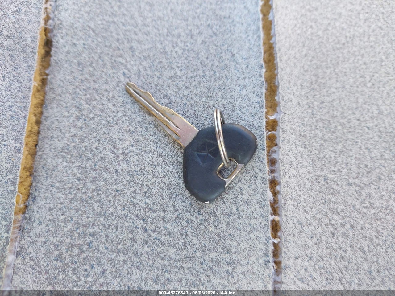 Image 11