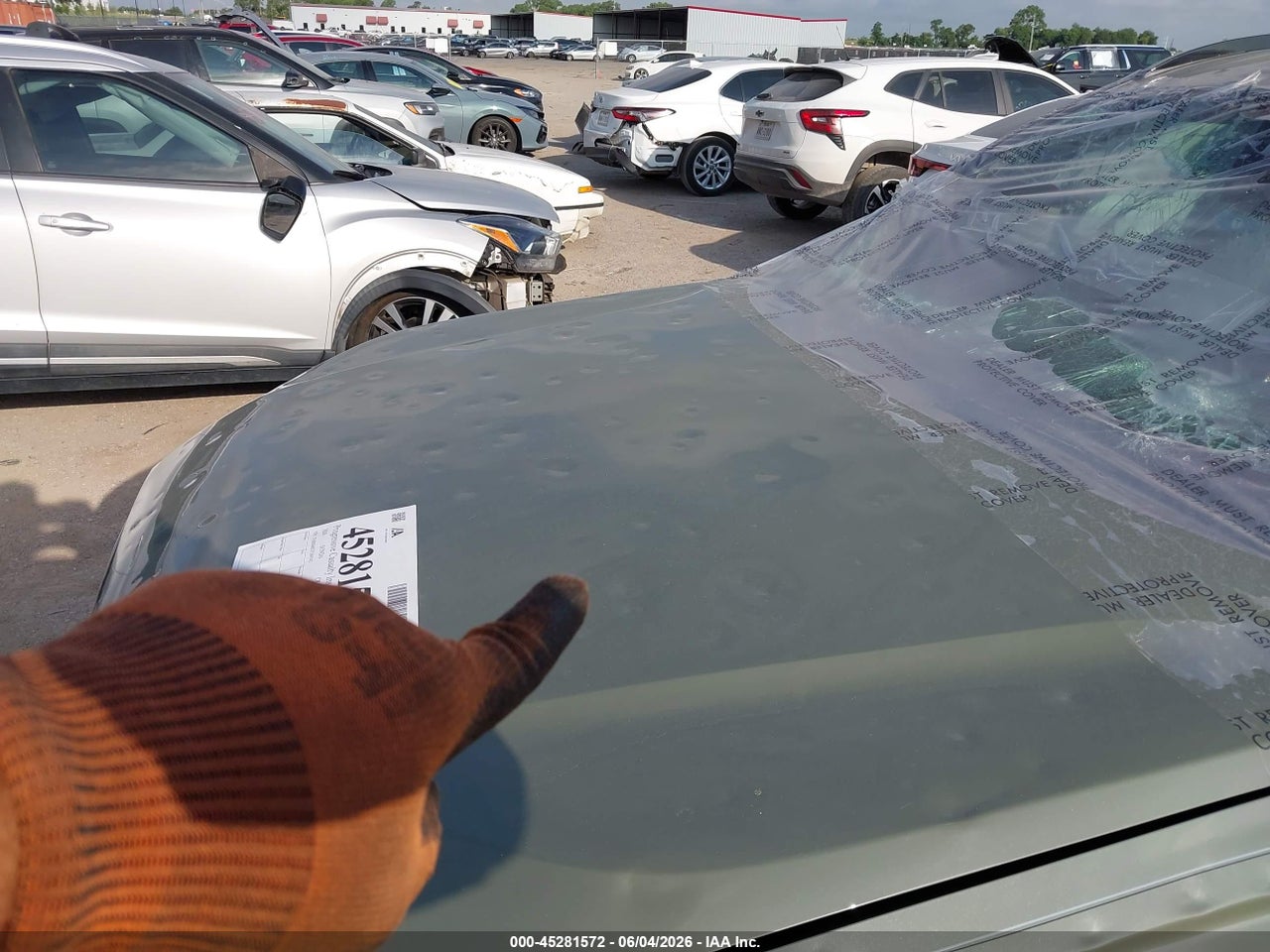 Image 6