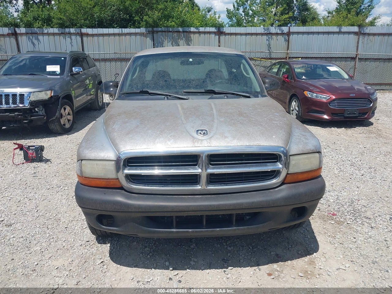 Image 6
