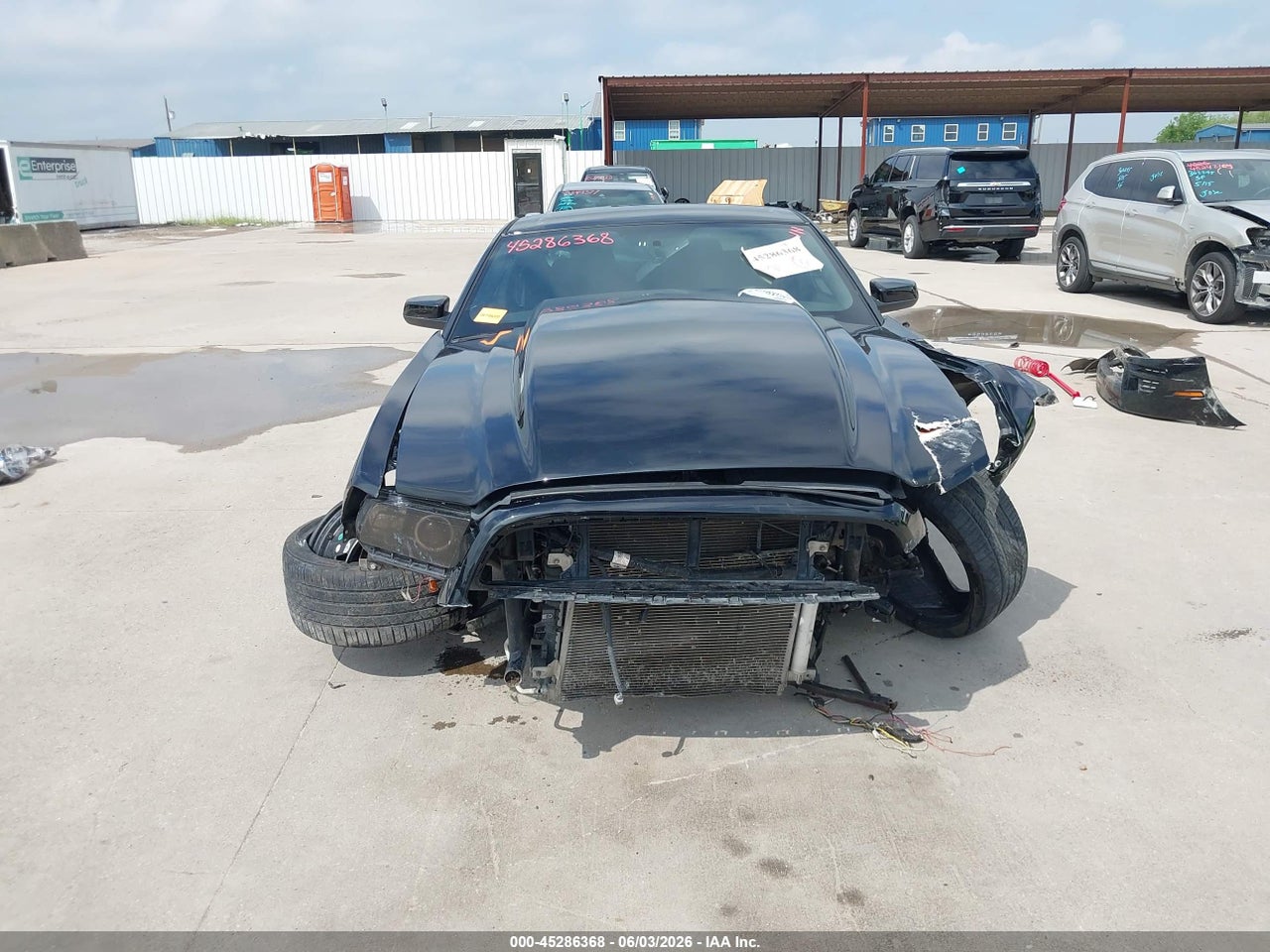 Image 6