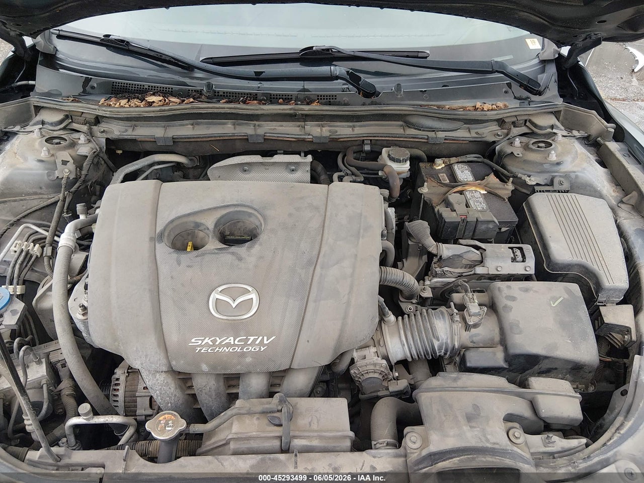 Image 10