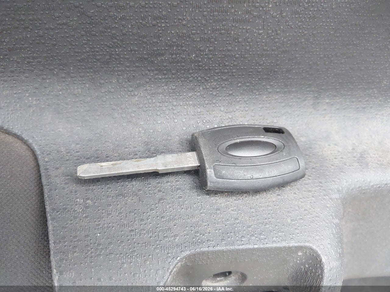 Image 11