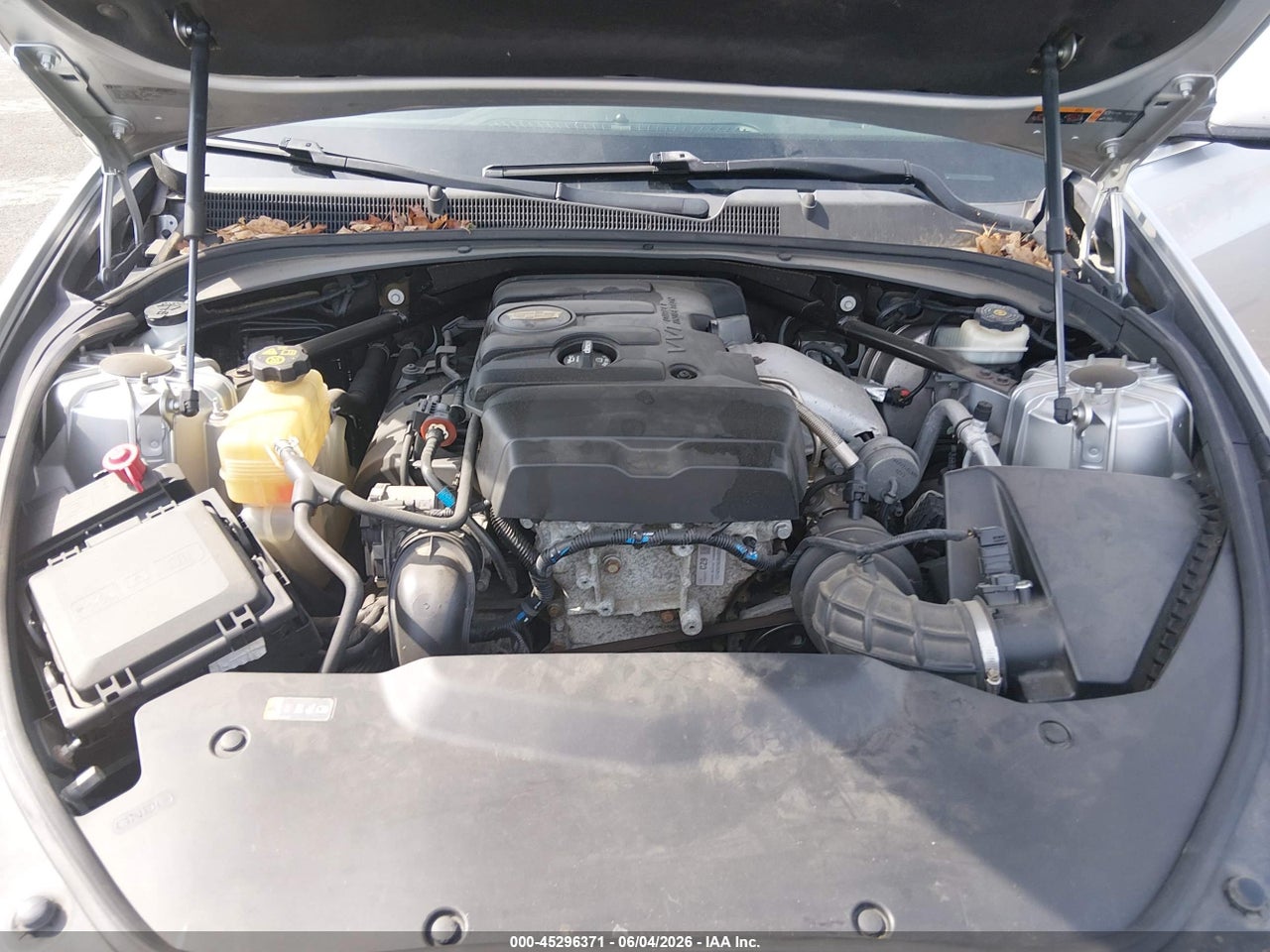 Image 10