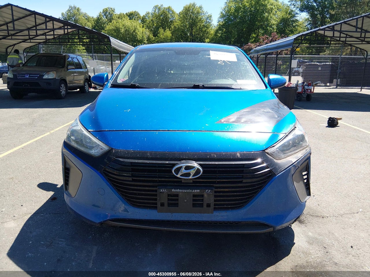 Image 13