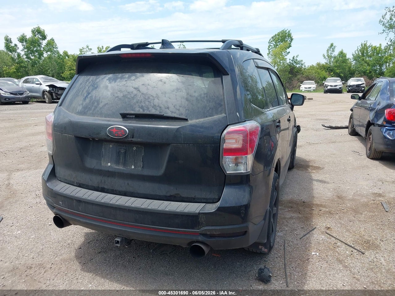 Image 4