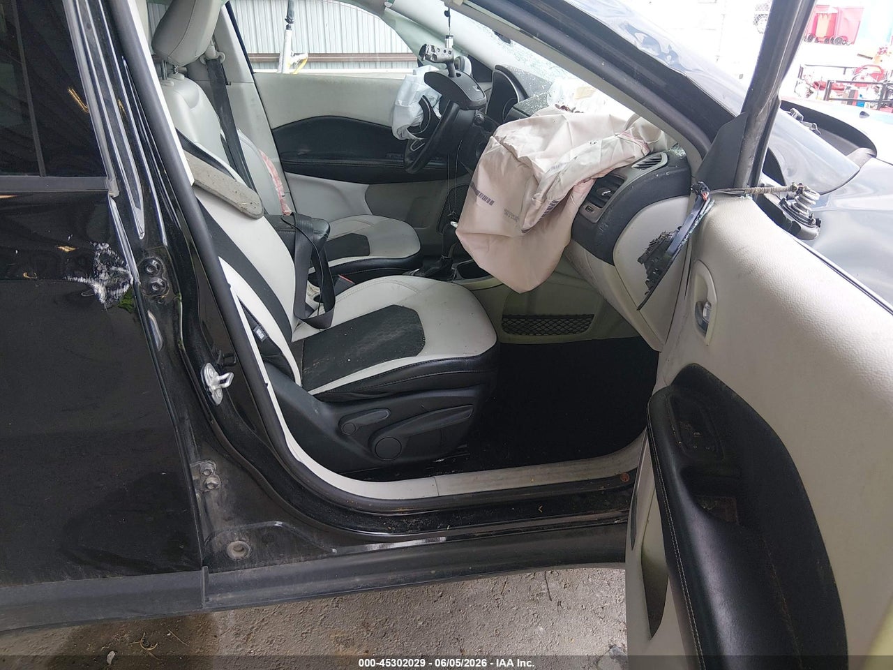 Image 5