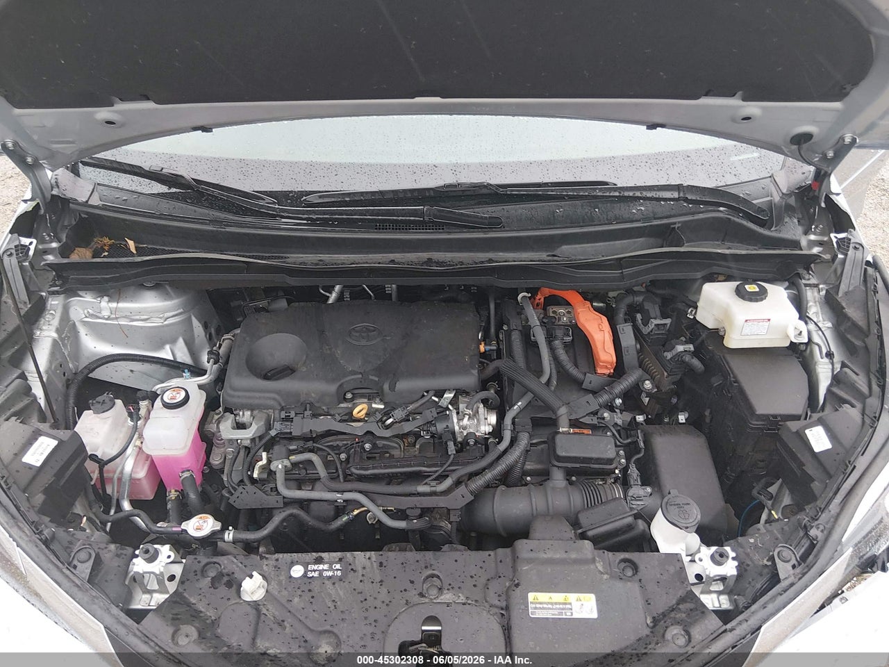 Image 10