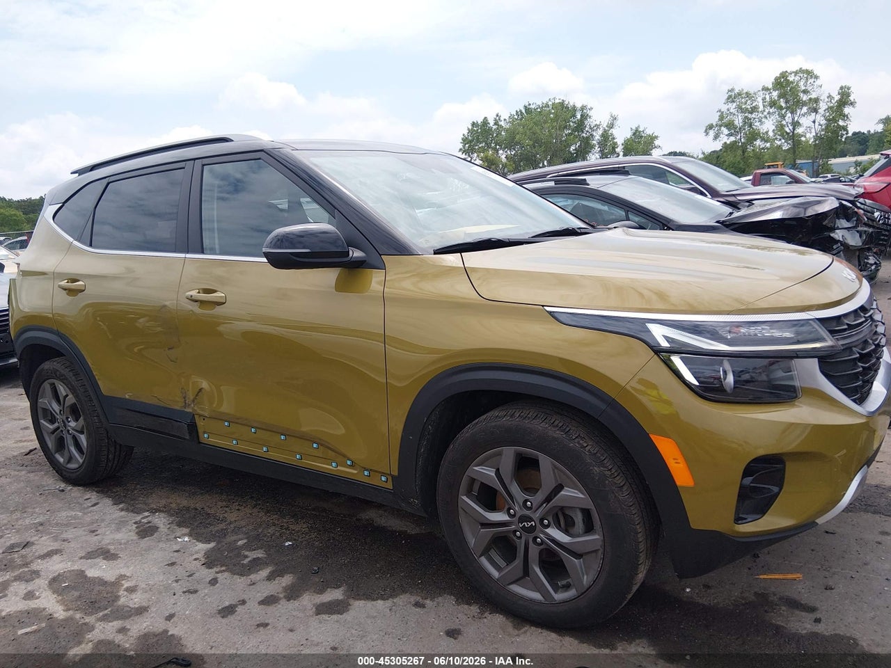 Image 13