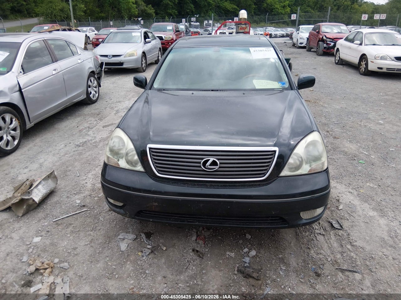 Image 6