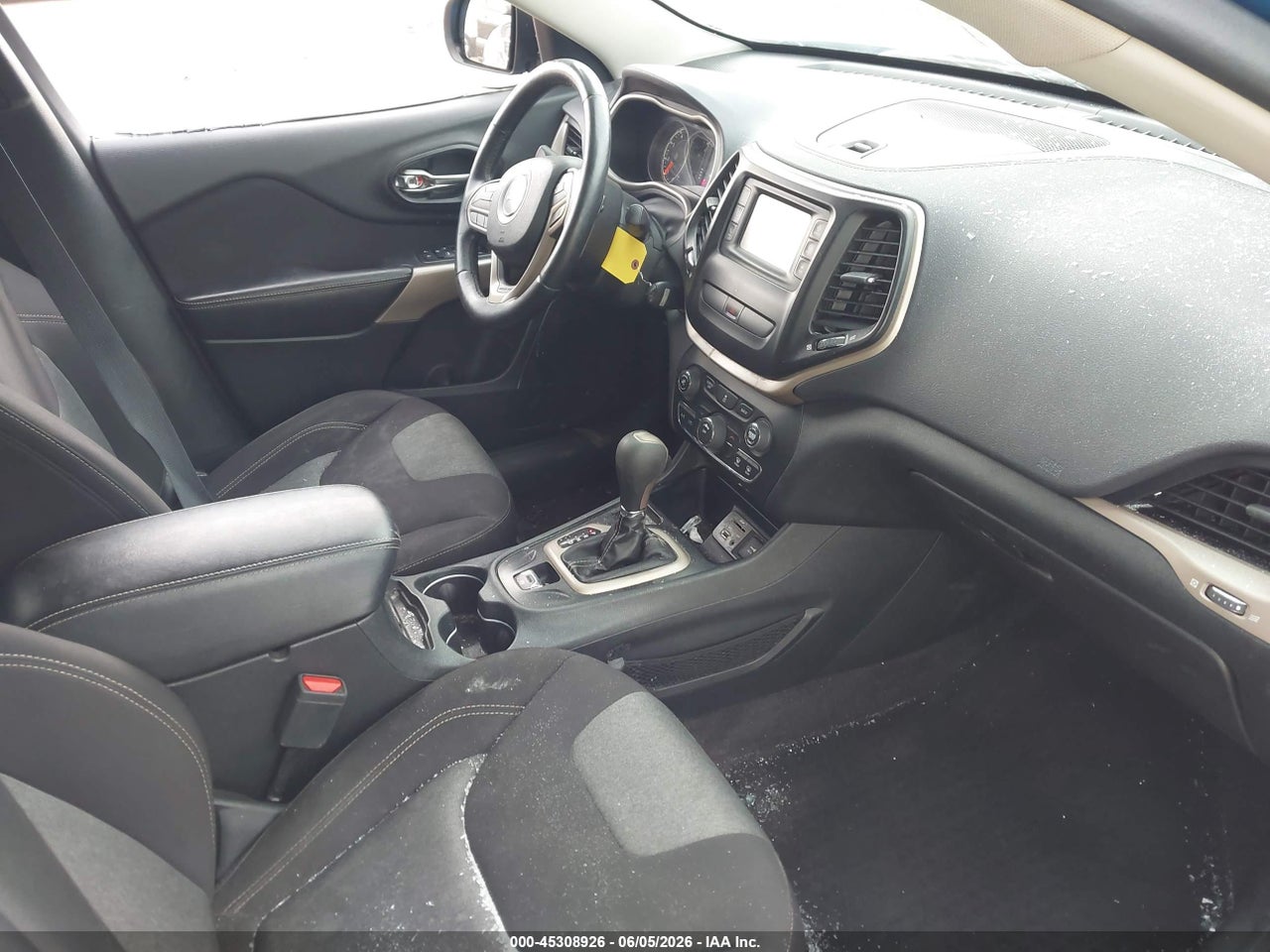 Image 5