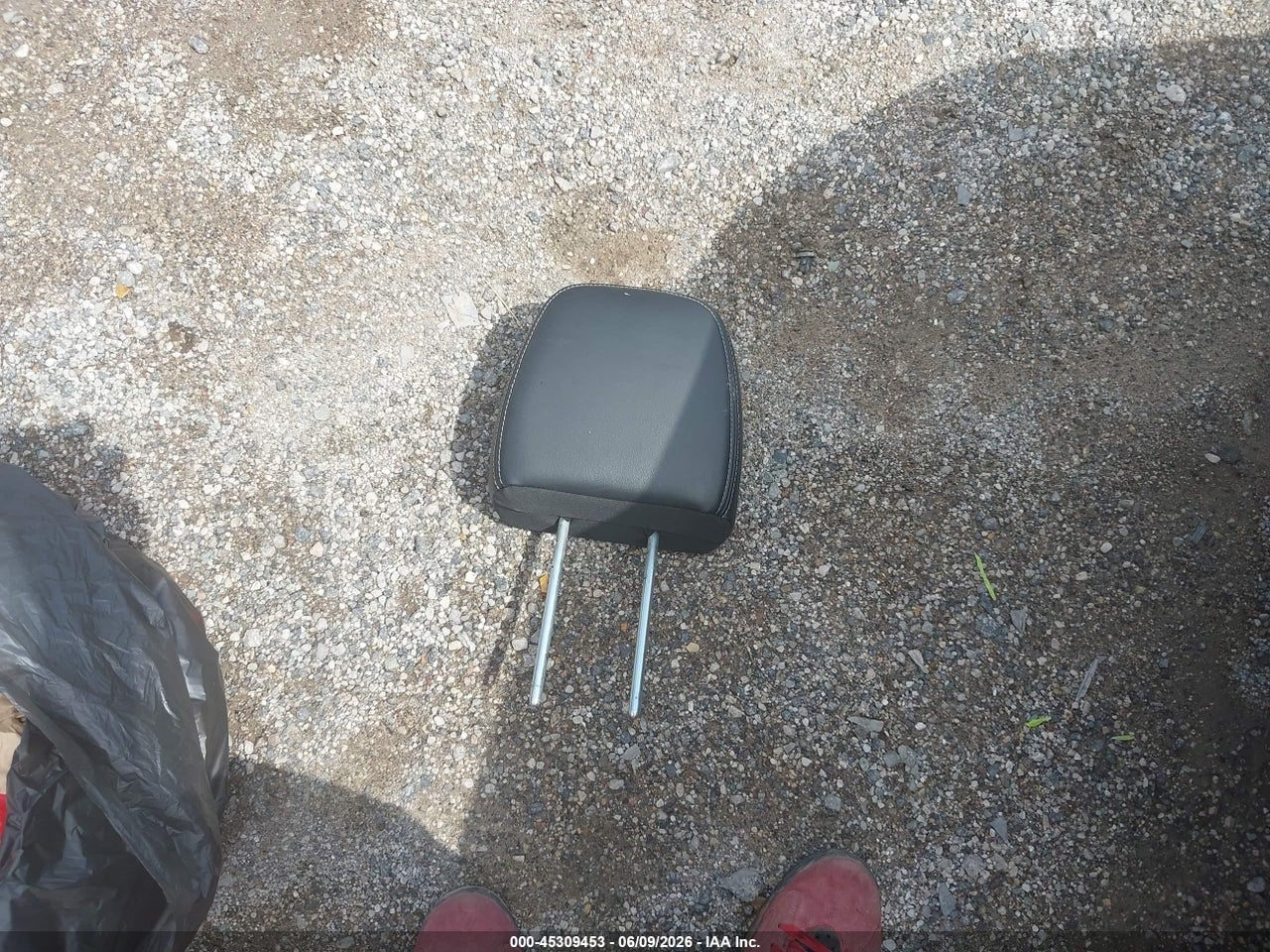 Image 12