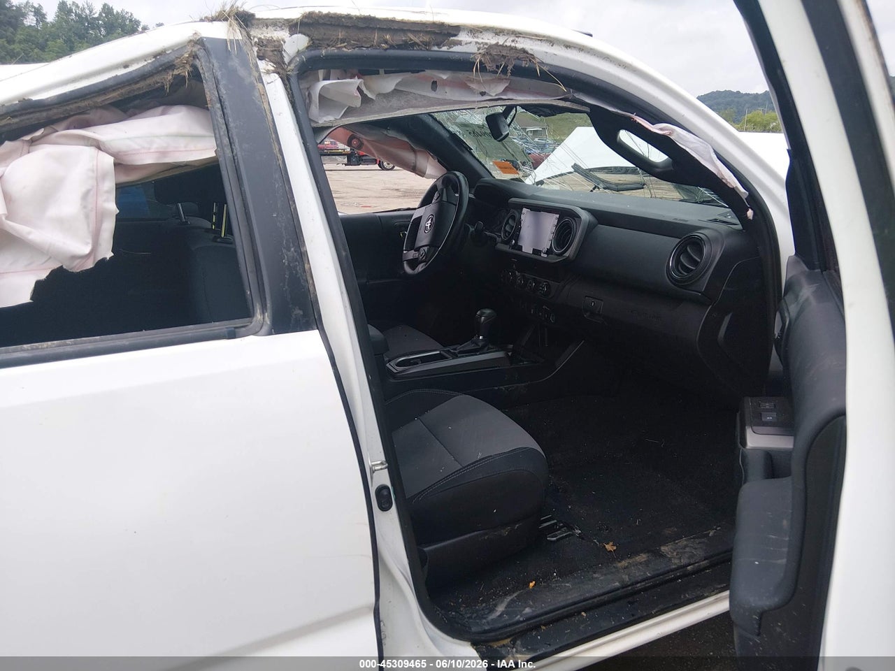 Image 5