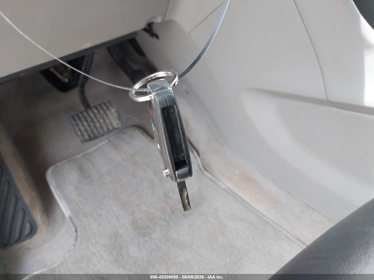 Image 11