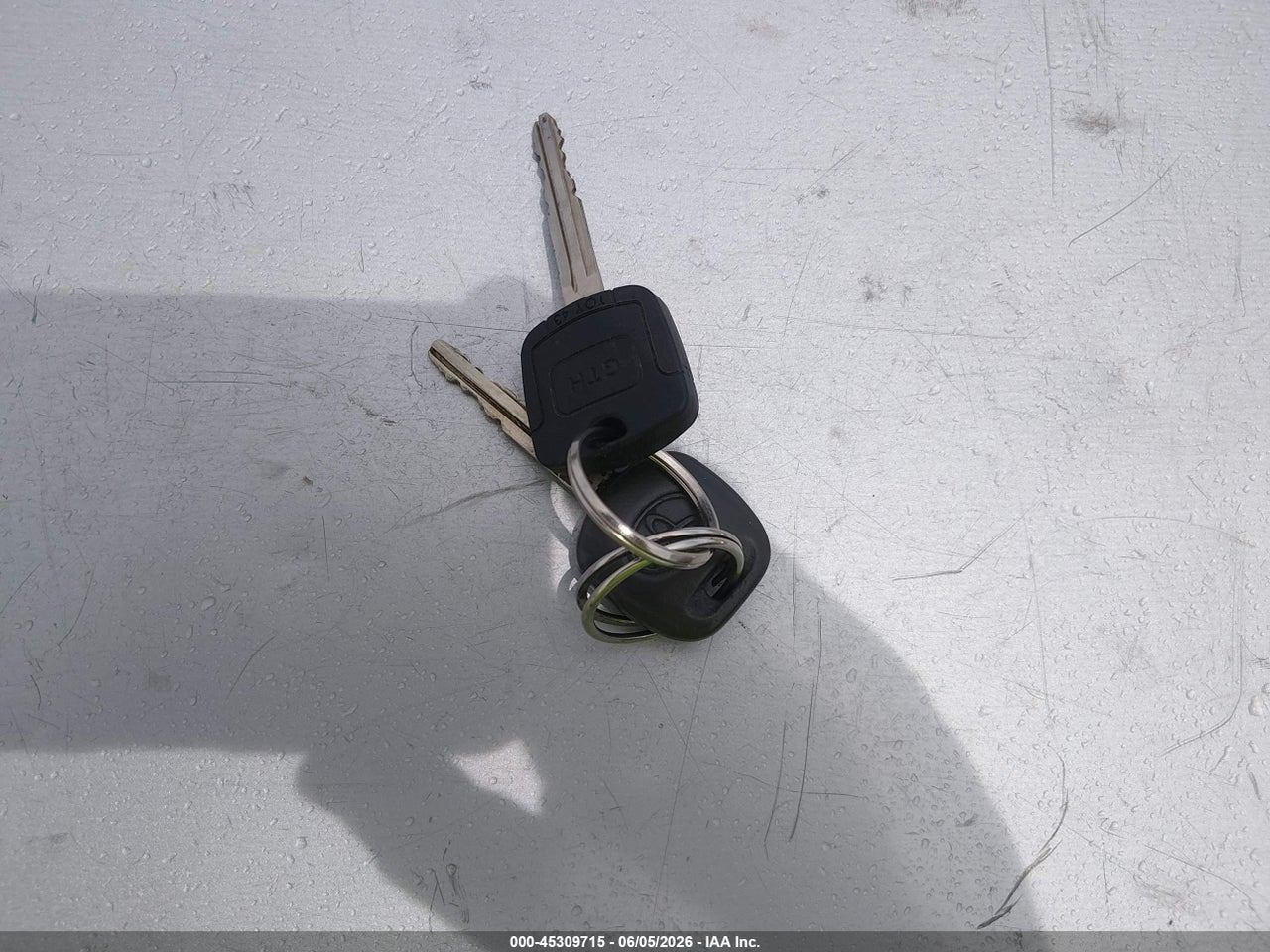 Image 11