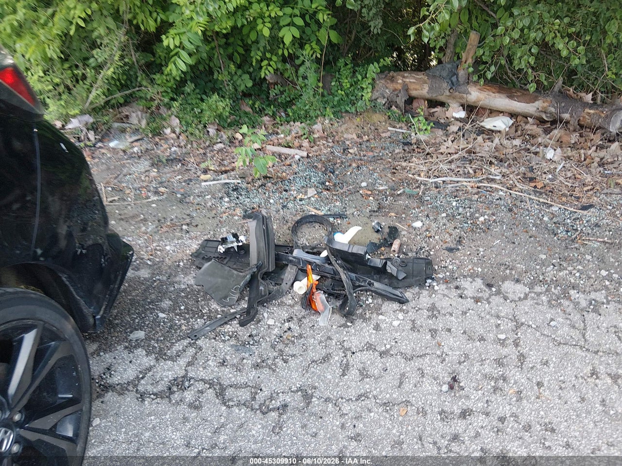 Image 12