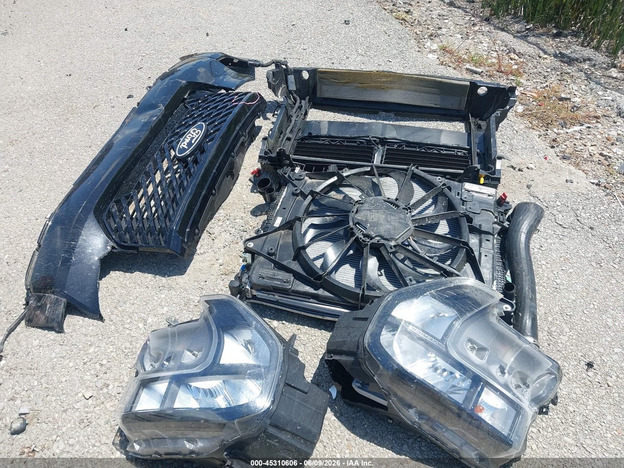 Image 12