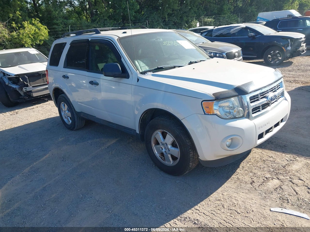 2011 FORD ESCAPE XLT AUTOMATIC thumbnail 2