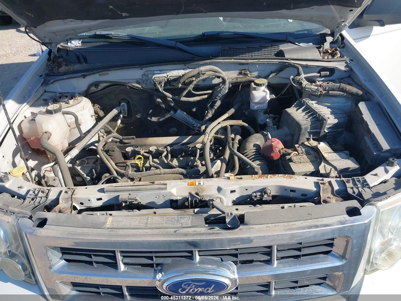 2011 FORD ESCAPE XLT AUTOMATIC thumbnail 11