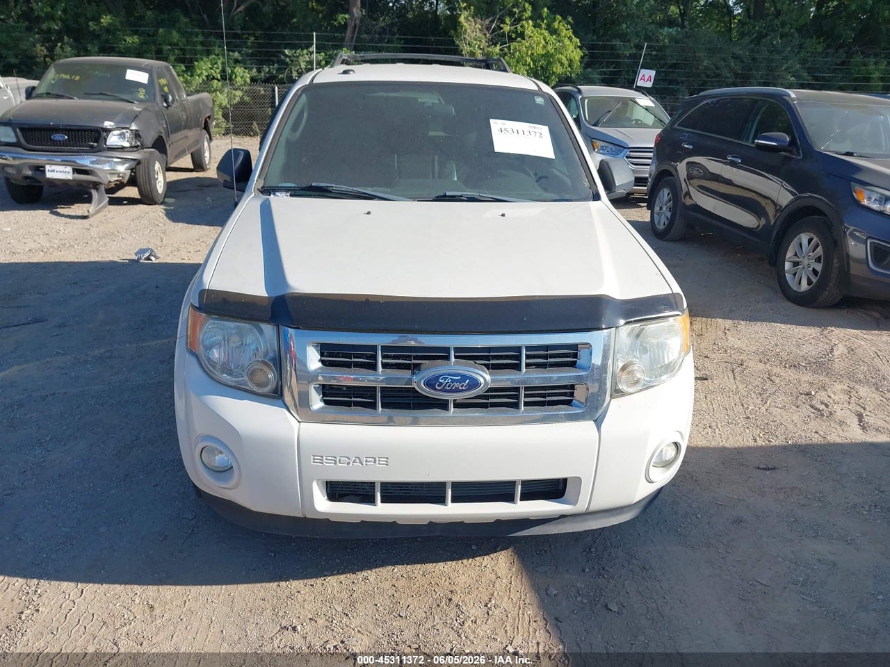2011 FORD ESCAPE XLT AUTOMATIC thumbnail 7