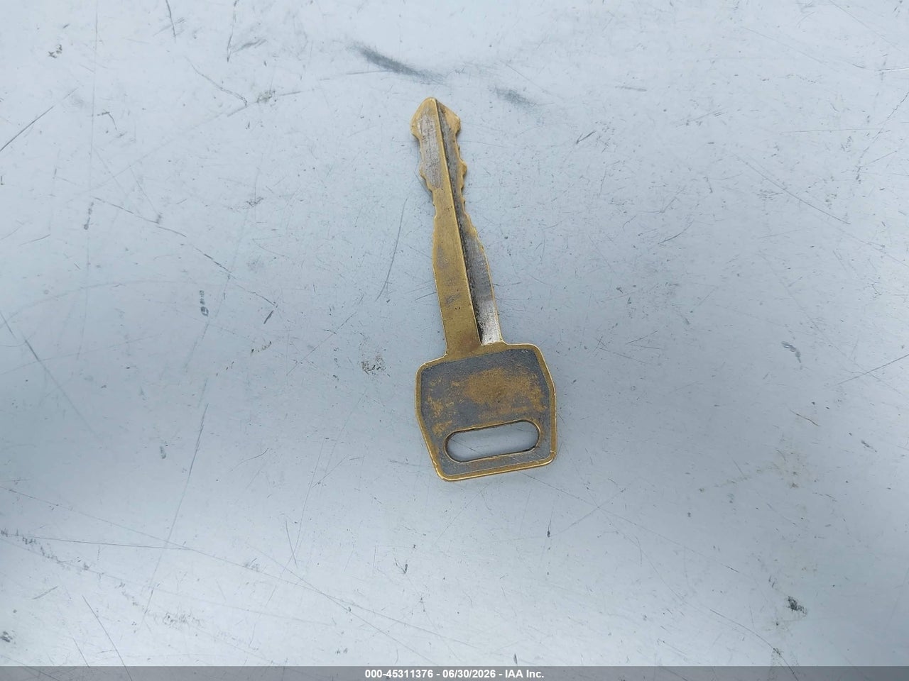 Image 11
