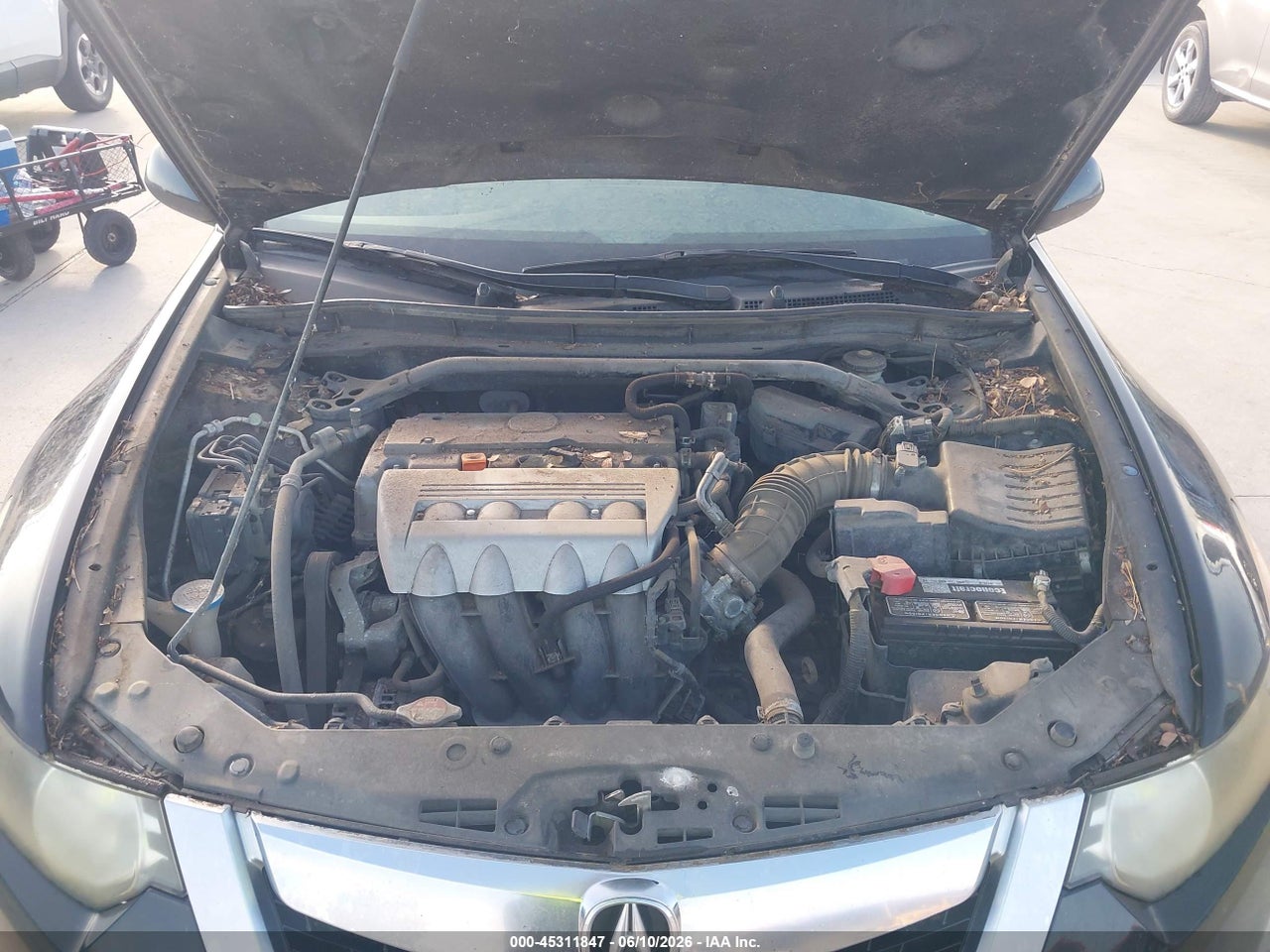 Image 10