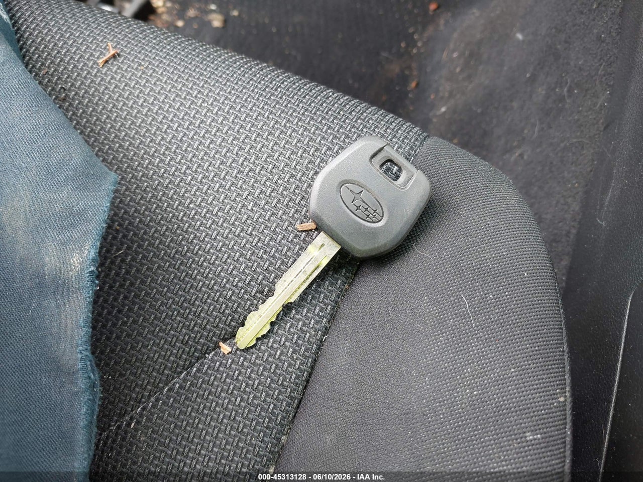 Image 11