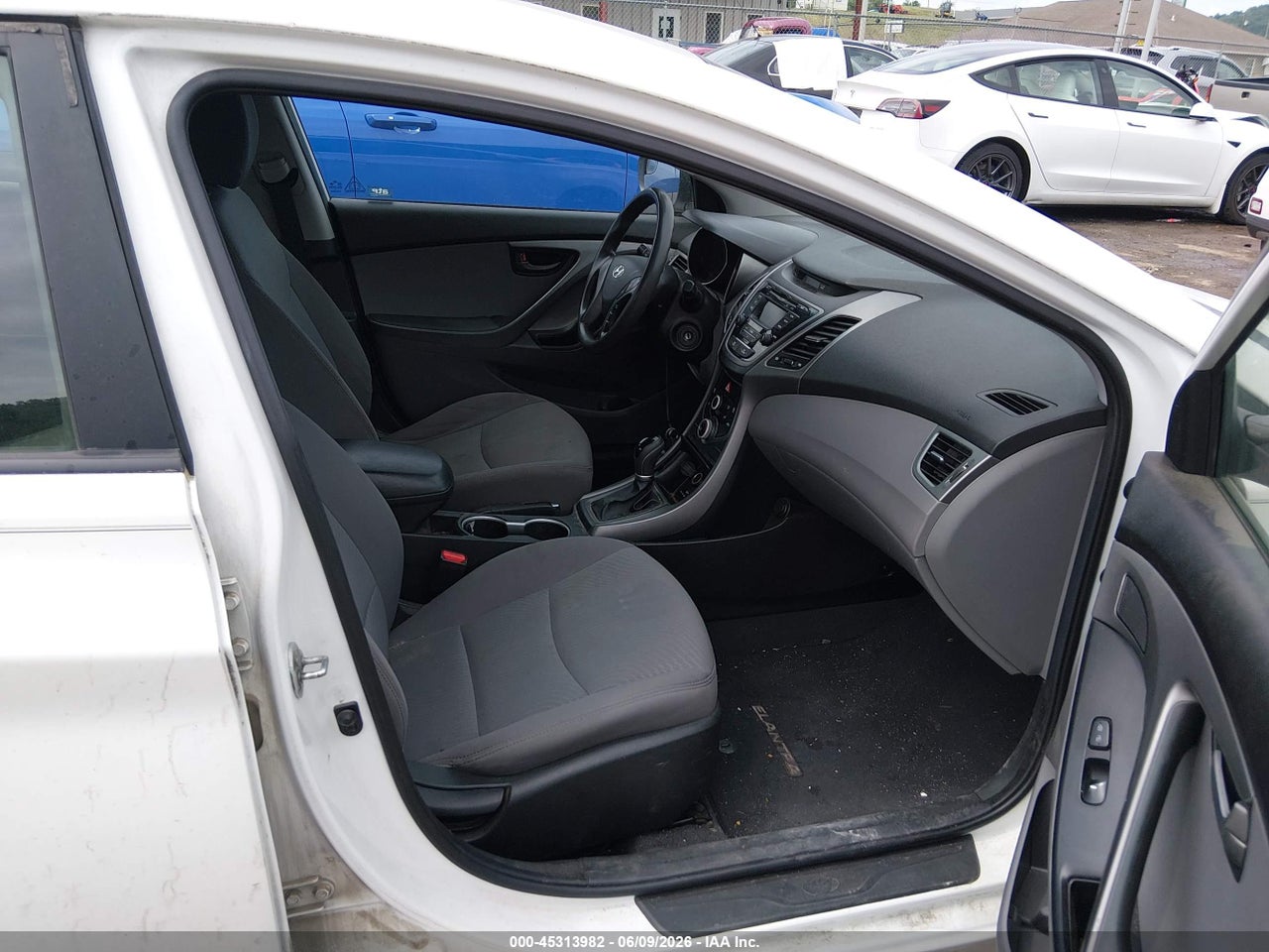 Image 5